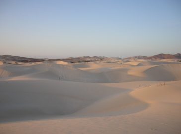 DSCN2234