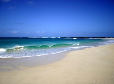 Boa Vista viaggi capoverde