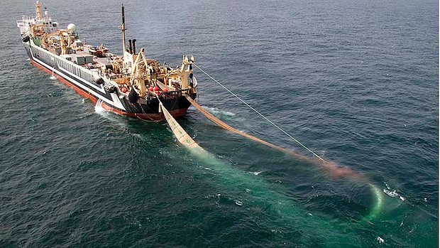Pesca intensiva a Capoverde