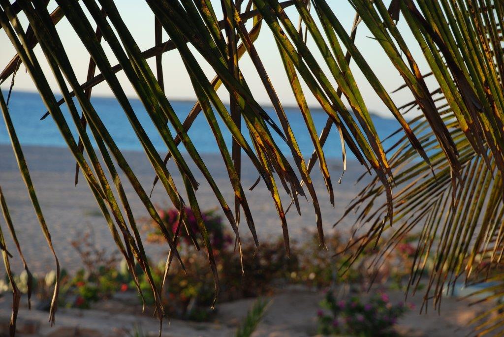 Marine Club Boavista Capoverde offerte agosto