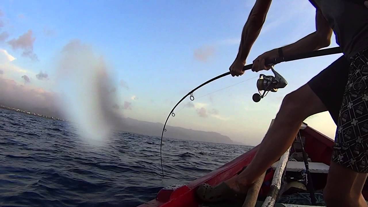 vertical jigging boavista capoverde