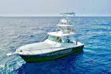 Capo Verde Pesca Marlin