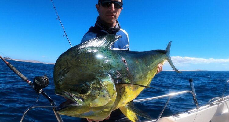 Pesca Maggio Capo Verde